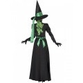 Kostým pro čarodějnici - zelený